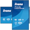 Moniteur Professionnel pour L affichage Dynamique 65 Pouces 4K UHD 24/7