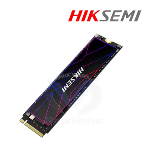 HS-SSD-FUTURE Lite STD 4096G PCIE4 HS-SSD-FUTR LITE 4T