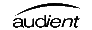 AUDIENT