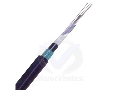 CABLE FIBRE OPTIQUE 24 BRINS MONOMODE ARME 9/125 LIN-FIB/24B