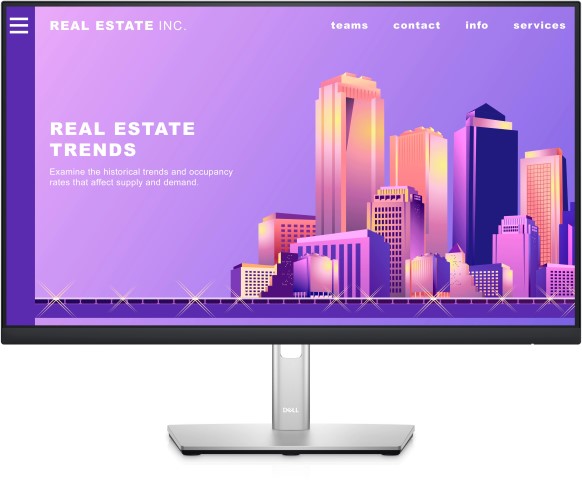 Ecran 24 Monitor 60.5cm (23.8") Full HD  HDMI, VGA, DisplayPort P2422H-3Y