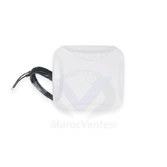 Pepwave IP67 Directional 9dBi High Gain LTE Antenna ANT-102-LTE2